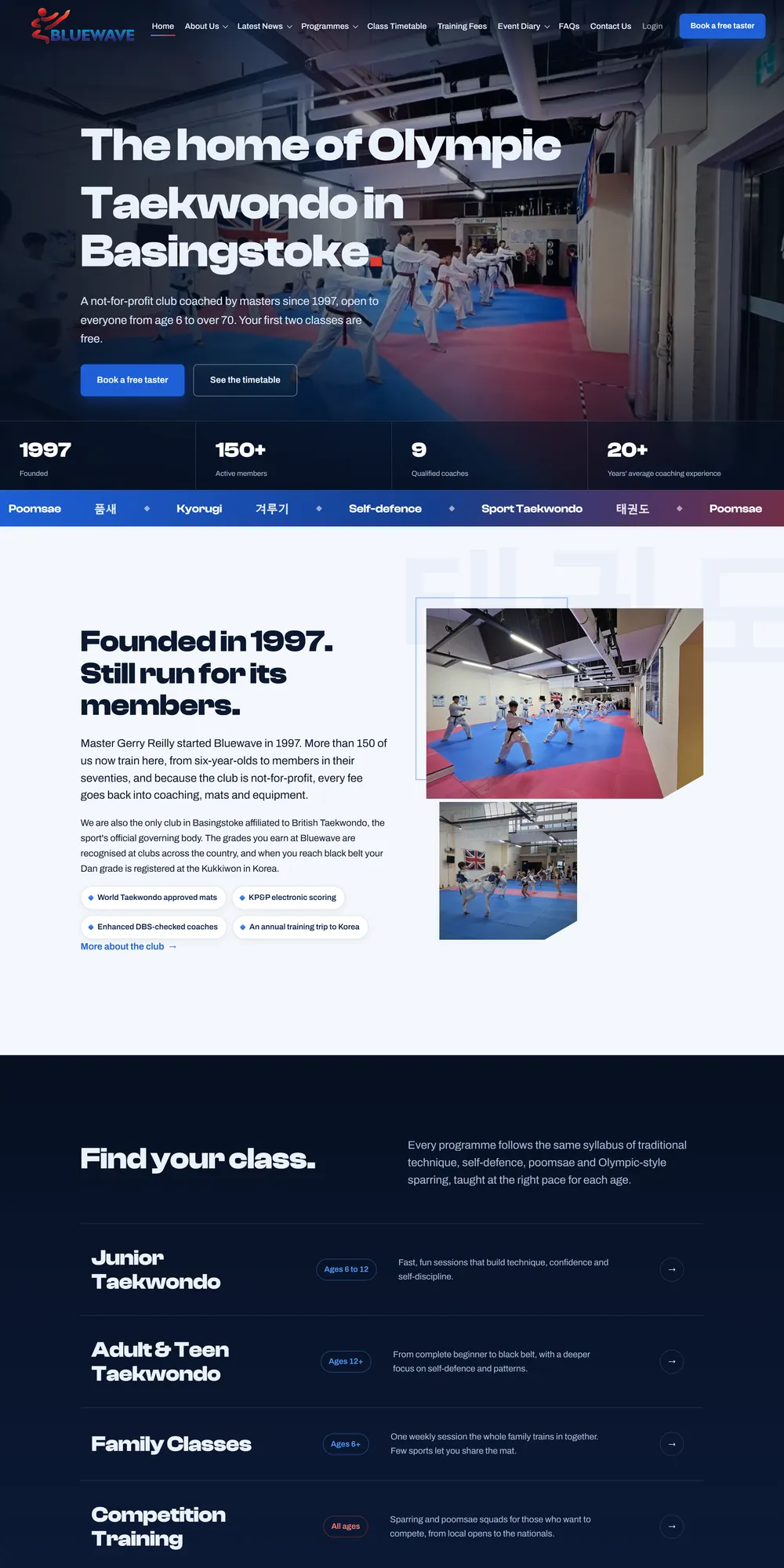 The homepage design we produced for Bluewave Korean Martial Arts