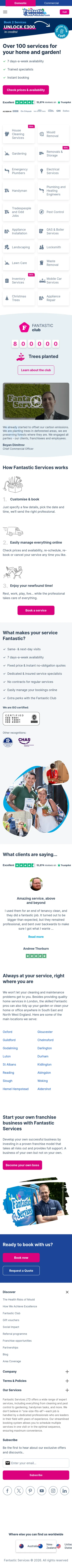 Fantastic Services mobile