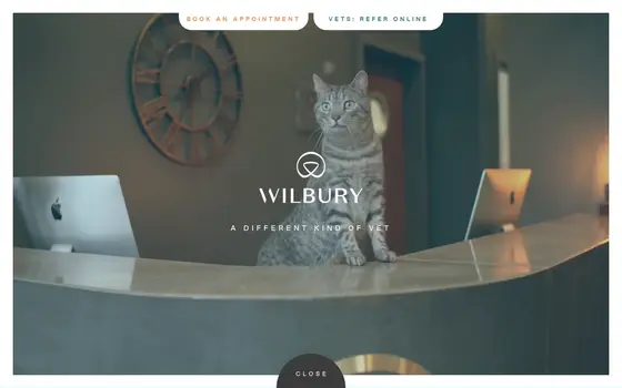Wilbury Vets website