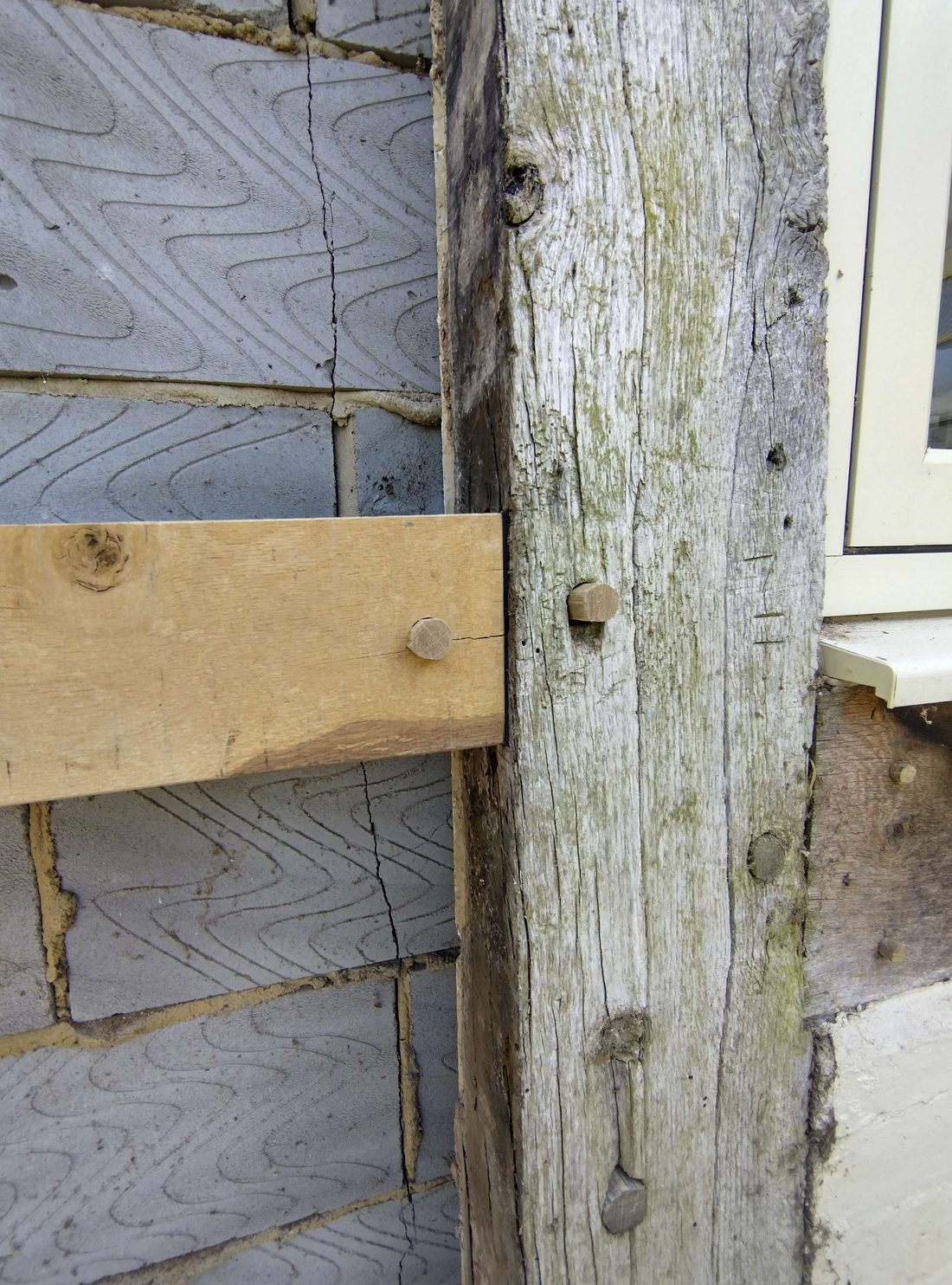 Close-up of an oak frame joint drawn tight with hand-cut oak pegs