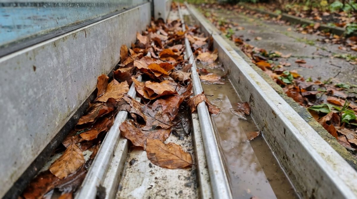 Close-up of autumn leaves compacted into the aluminium bottom track of a pool enclosure, with standing water visible in the groove